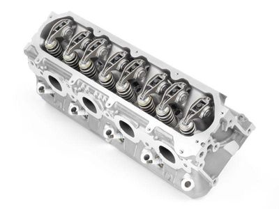 Testate motore