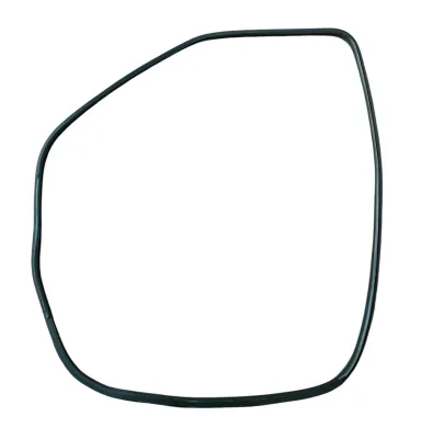 GUARNIZIONE CONTORNO PORTA (SUL TELAIO) ANT DX NISSAN JUKE F15 2015 - 769211KA0A