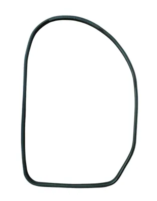 GUARNIZIONE CONTORNO PORTA (SUL TELAIO) POST DX NISSAN JUKE F15 2015 - 828301KA0A