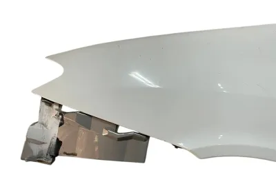 PARAFANGO ORIGINALE ANTERIORE SINISTRO LANCIA PHEDRA 2007 - 1486706080