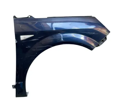 PARAFANGO ANTERIORE DESTRO RENAULT SCENIC (II) 2007 - 8200020569