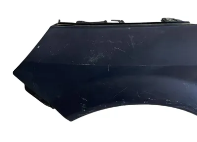 PARAFANGO ANTERIORE SINISTRO RENAULT SCENIC (II) 2007 - 8200020568