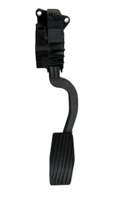 PEDALE ACCELERATORE FIAT GRANDE PUNTO 199 1.2 BENZINA 2009 - 55702020
