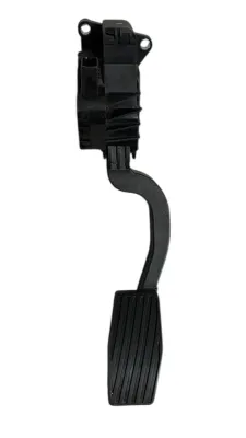 PEDALE ACCELERATORE FIAT GRANDE PUNTO 199 1.2 BENZINA 2009 - 55702020