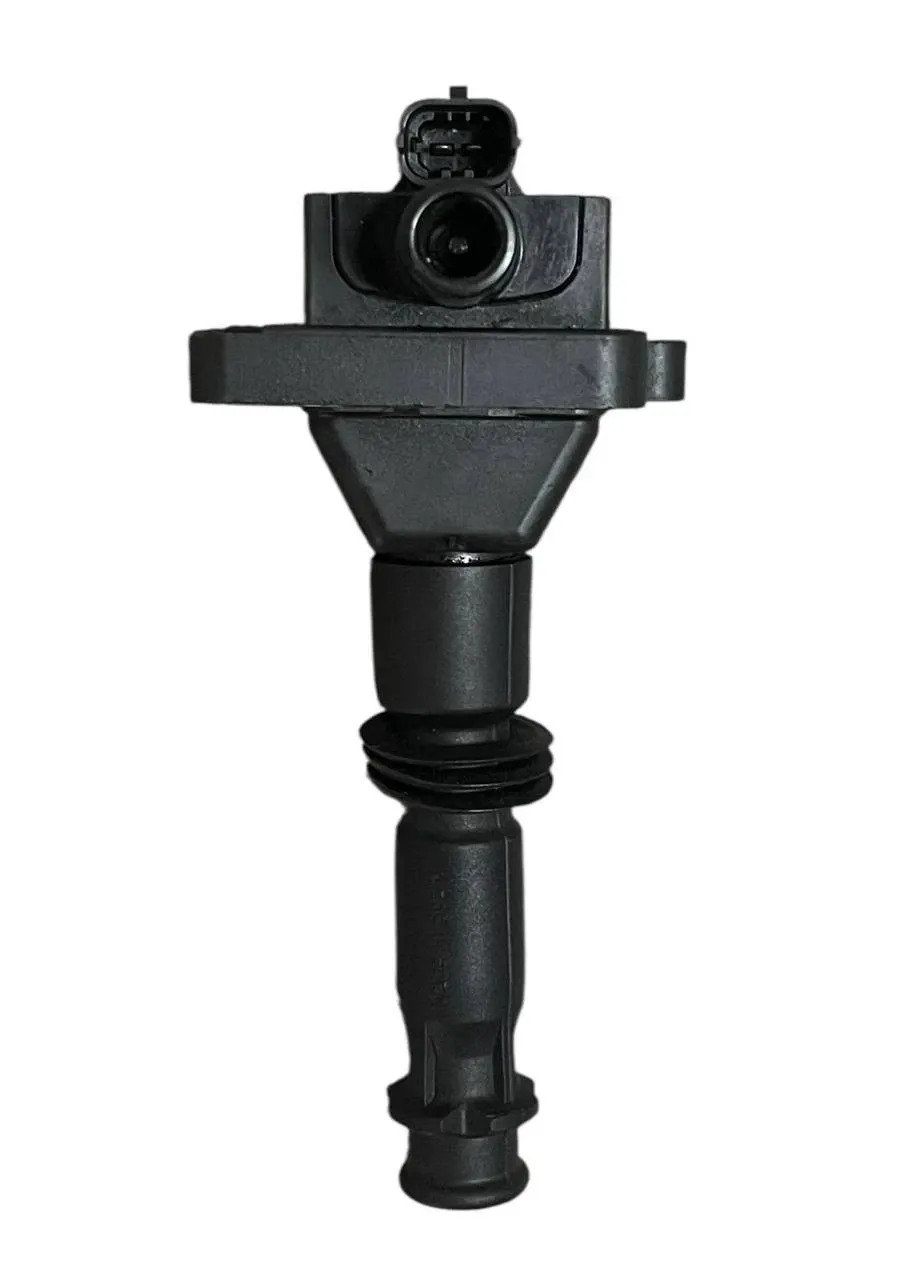 BOBINA DI ACCENSIONE ALFA ROMEO 147 1.6 BENZINA 2005 - 1227030071