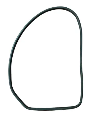 GUARNIZIONE CONTORNO PORTA (SUL TELAIO) POST DX NISSAN JUKE F15 2015 - 828301KA0A