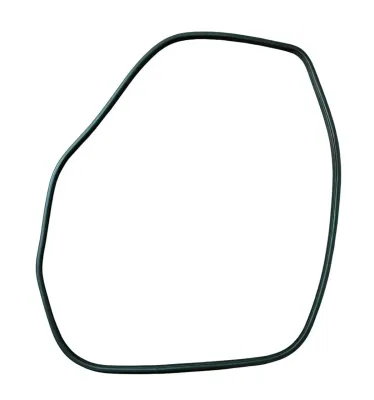 GUARNIZIONE CONTORNO PORTA (SUL TELAIO) ANT SX NISSAN JUKE F15 2015 - 769221KA0A