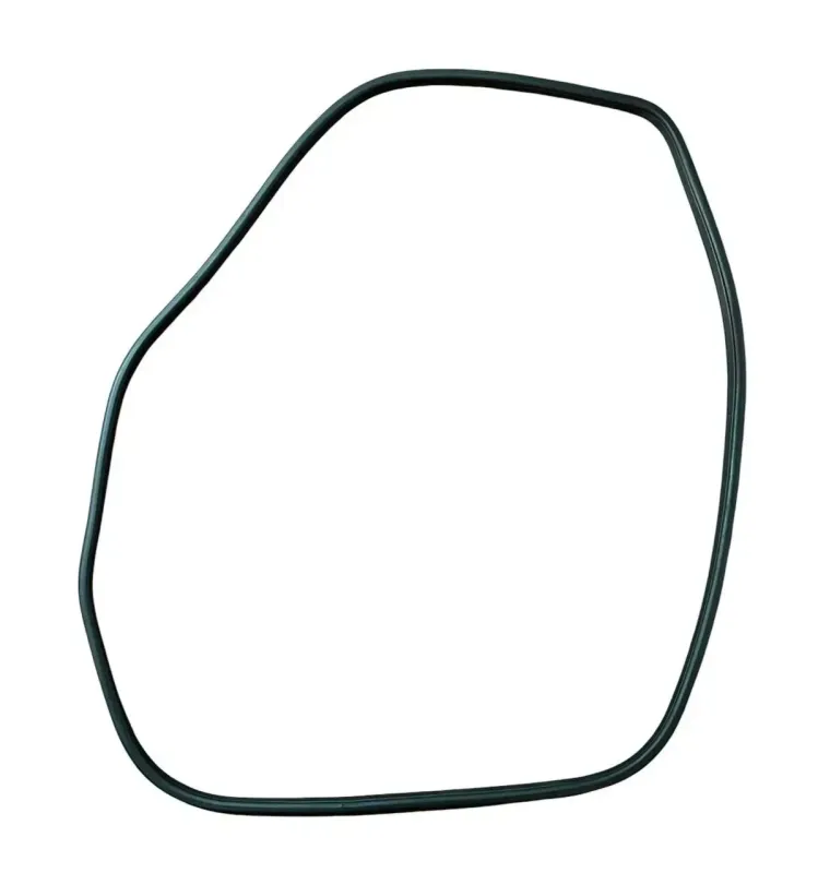 GUARNIZIONE CONTORNO PORTA (SUL TELAIO) ANT SX NISSAN JUKE F15 2015 - 769221KA0A