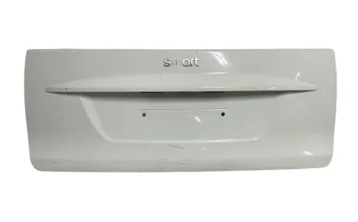 PANNELLO ESTERNO PORTELLONE / COFANO POST. SMART FORTWO 451 2010 - A4517570006