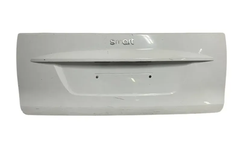 PANNELLO ESTERNO PORTELLONE / COFANO POST. SMART FORTWO 451 2010 - A4517570006