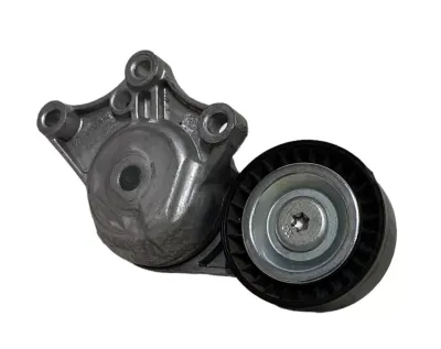 PULEGGIA TENDICINGHIA (CINGHIA SERVIZI) PEUGEOT 308 1.6 D 2015 - 1631481580