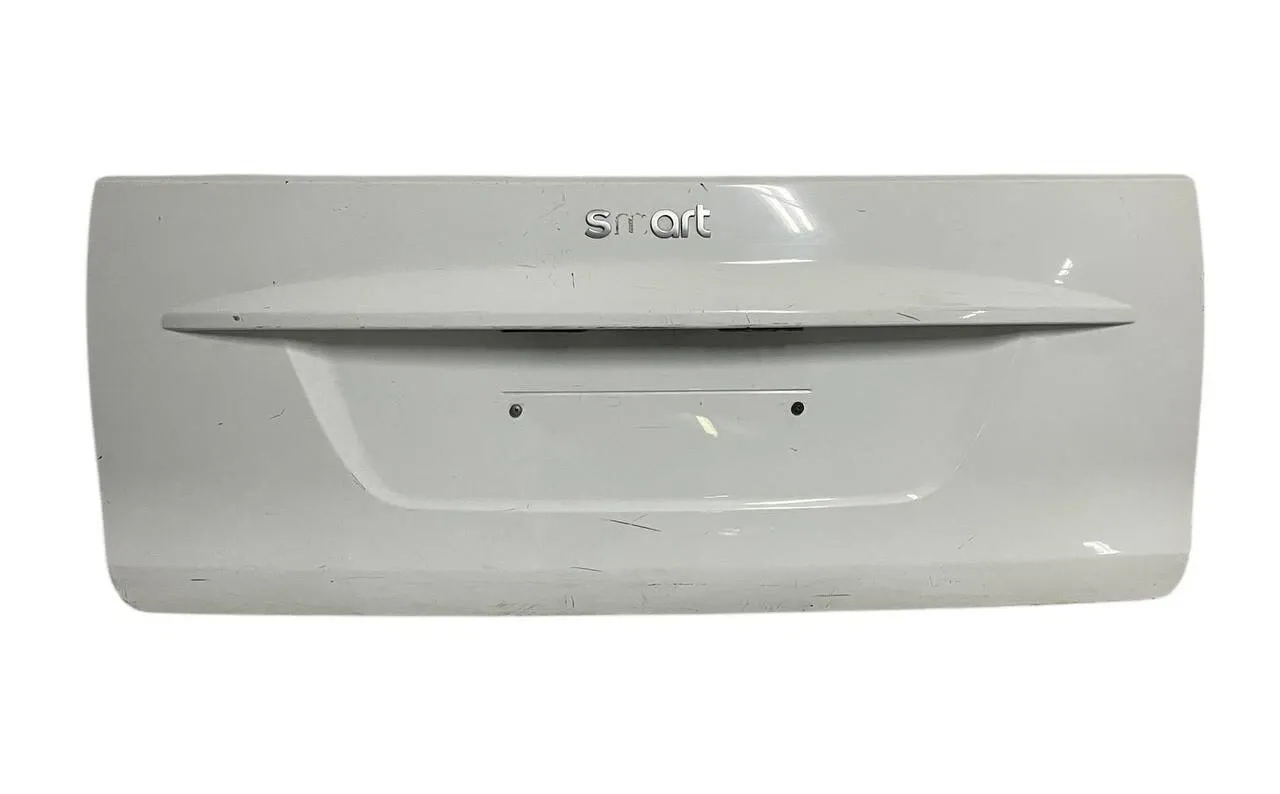 PANNELLO ESTERNO PORTELLONE / COFANO POST. SMART FORTWO 451 2010 - A4517570006