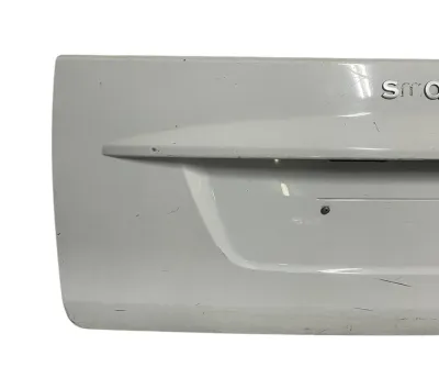 PANNELLO ESTERNO PORTELLONE / COFANO POST. SMART FORTWO 451 2010 - A4517570006