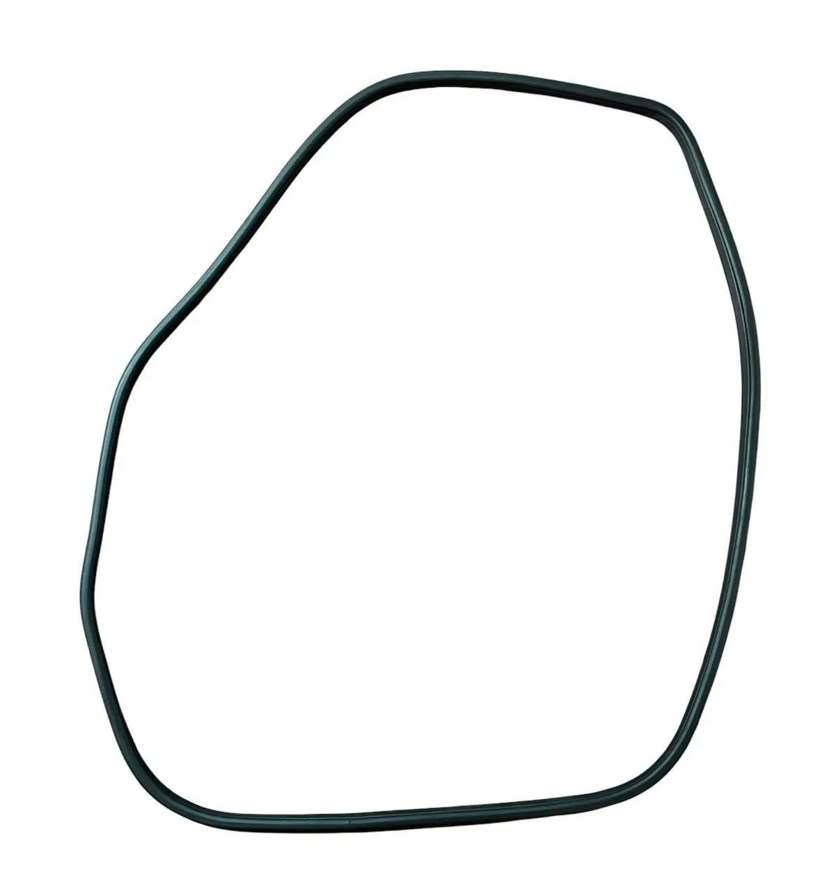 GUARNIZIONE CONTORNO PORTA (SUL TELAIO) ANT SX NISSAN JUKE F15 2015 - 769221KA0A