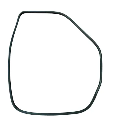 GUARNIZIONE CONTORNO PORTA (SUL TELAIO) ANT SX NISSAN JUKE F15 2015 - 769221KA0A