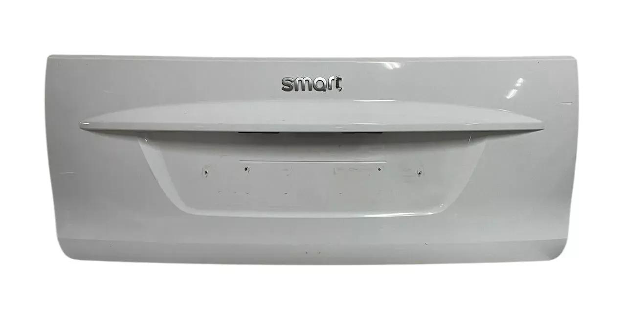 PANNELLO ESTERNO PORTELLONE / COFANO POST. SMART FORTWO 451 2008 - A4517570006
