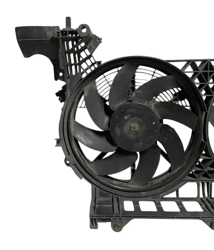 VENTOLA DI RAFFREDDAMENTO MOTORE RENAULT ESPACE (III) DIESEL 2001 - 812400200