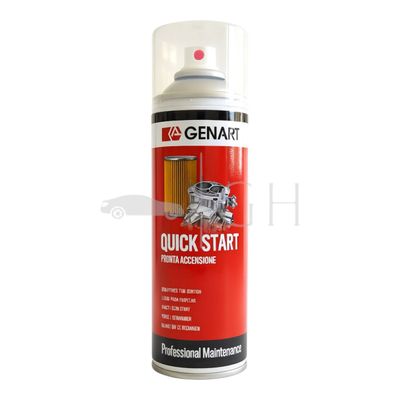 GENART - SPRAY PRONTA ACCENSIONE RAPIDA / EDERA STARTER