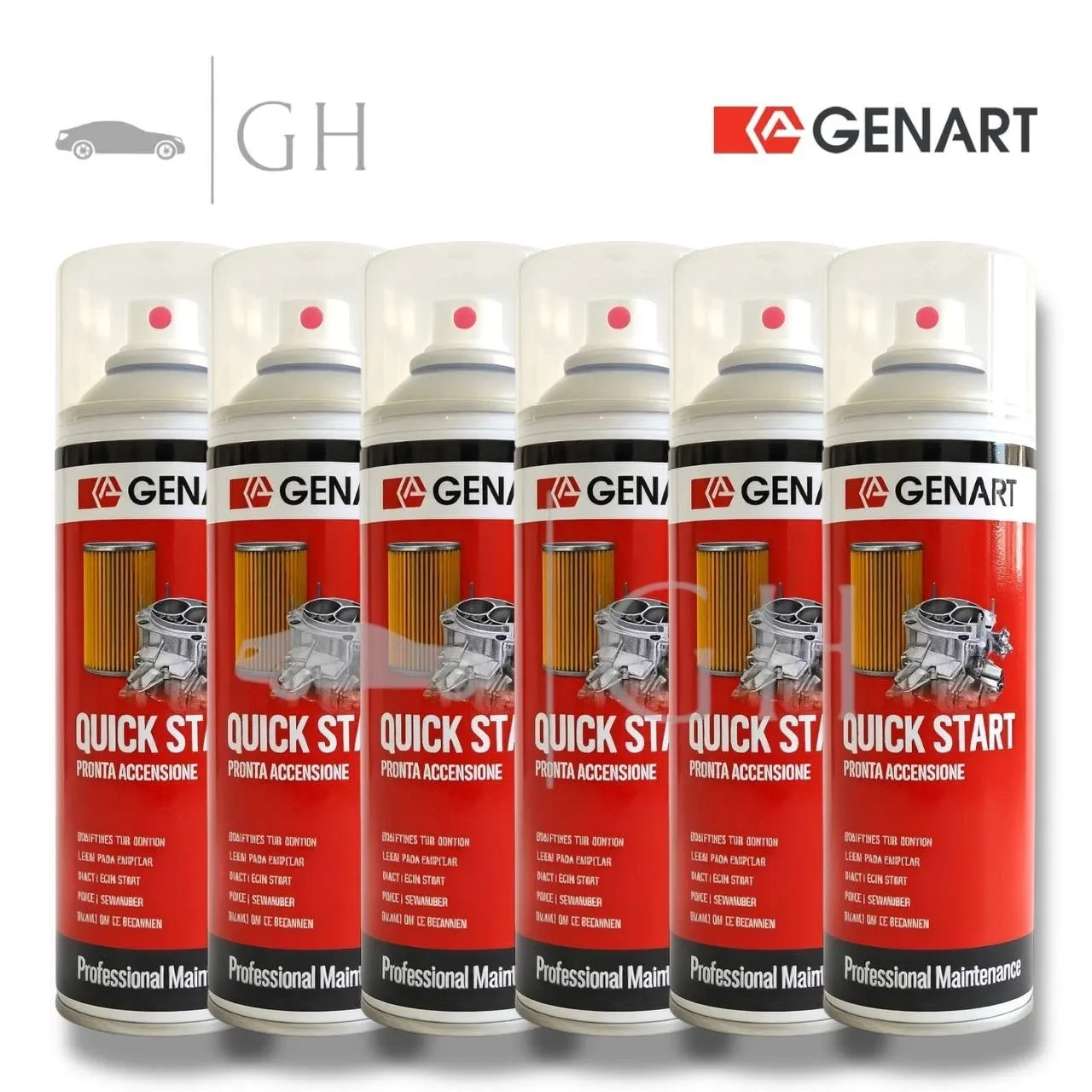 GENART - 6 X QUICK START SPRAY PRONTA ACCENSIONE RAPIDA / EDERA STARTER