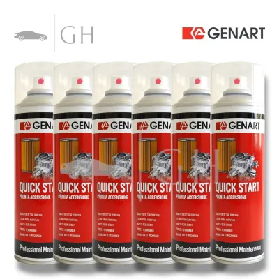 GENART - 6 X QUICK START SPRAY PRONTA ACCENSIONE RAPIDA / EDERA STARTER