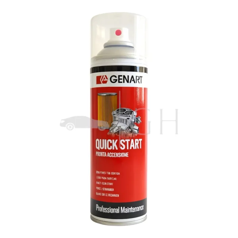 GENART - 6 X QUICK START SPRAY PRONTA ACCENSIONE RAPIDA / EDERA STARTER