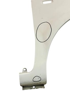PARAFANGO ANTERIORE DESTRO FIAT PANDA 169 (II) 2008 - 46827087