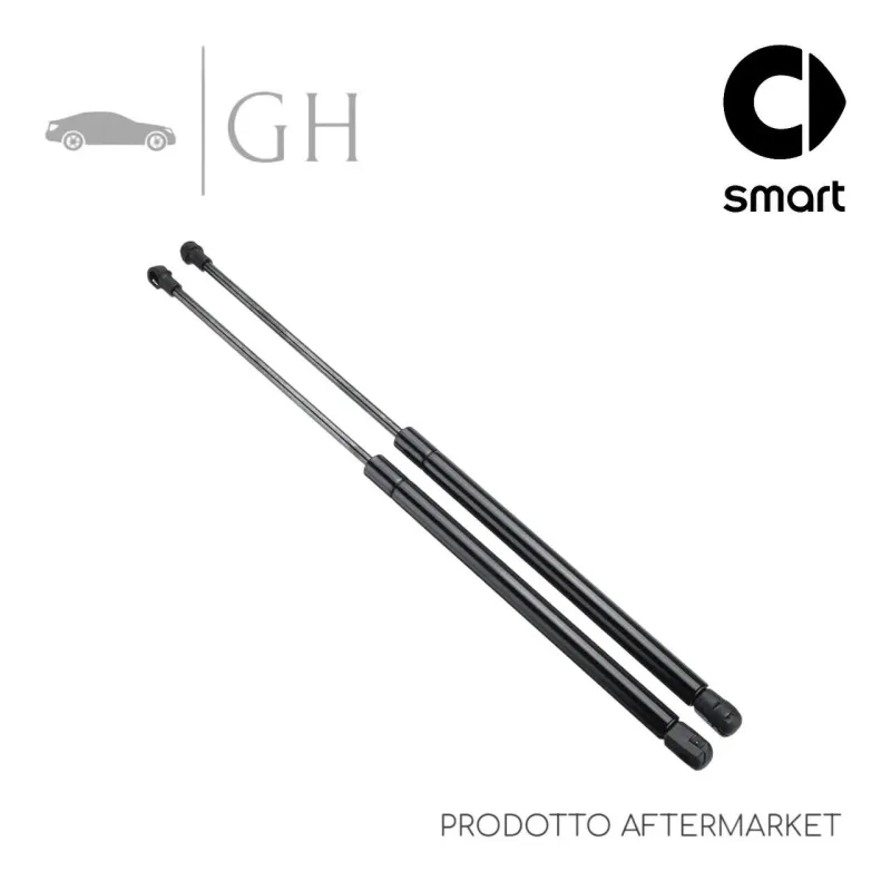 COPPIA MOLLE A GAS PISTONCINI AMMORTIZZATORI LUNOTTO POST SMART FORFOUR 454 (I)