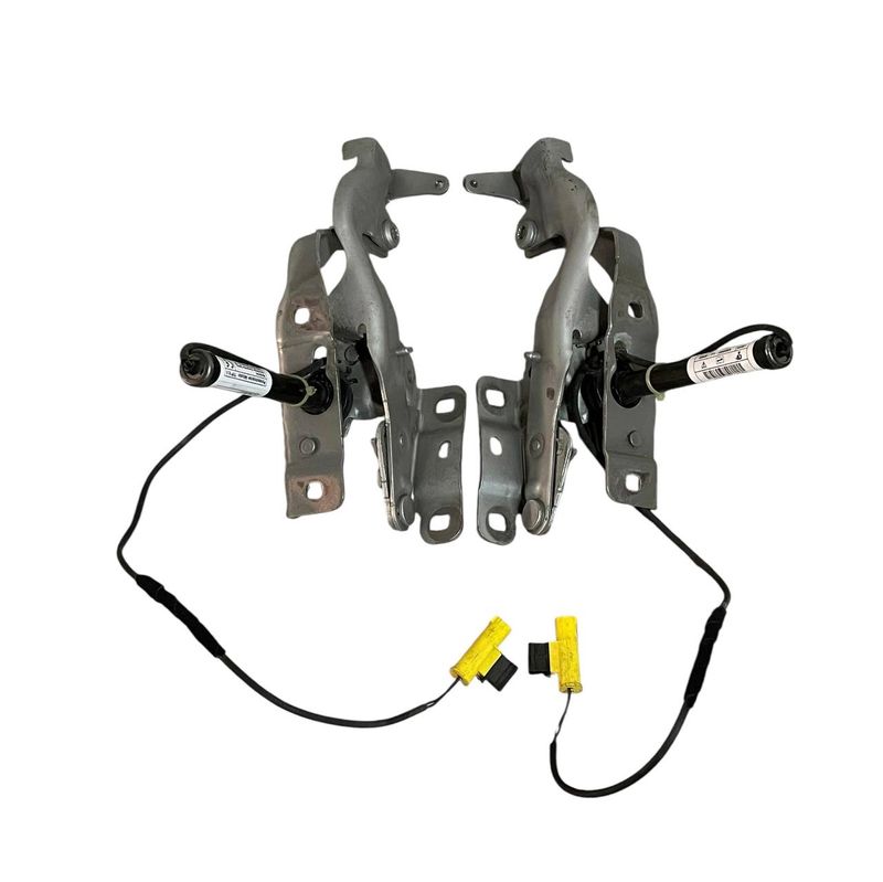 COPPIA CERNIERE LATO SX + DX COFANO ANT MERCEDES CLASSE A W176 2015 - A1179061000