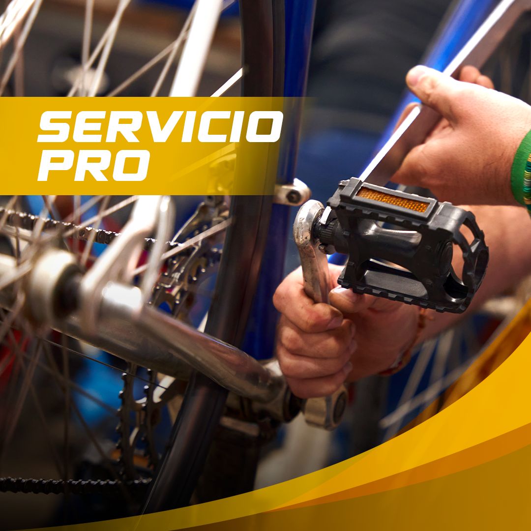 Servicio Pro