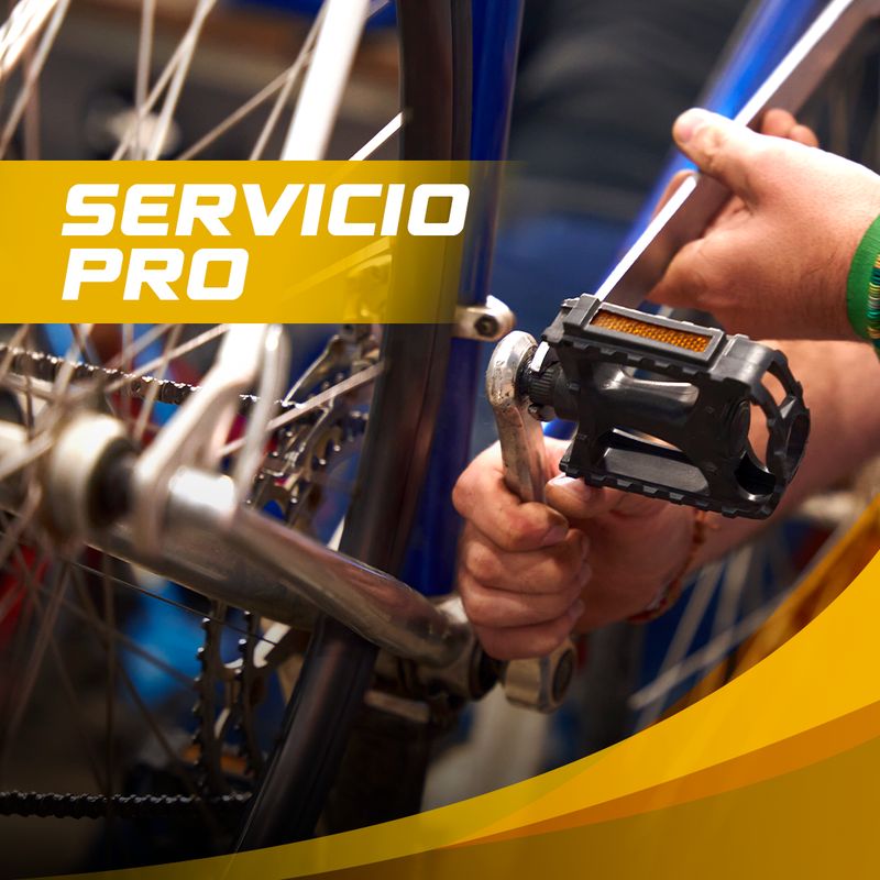 Servicio Pro