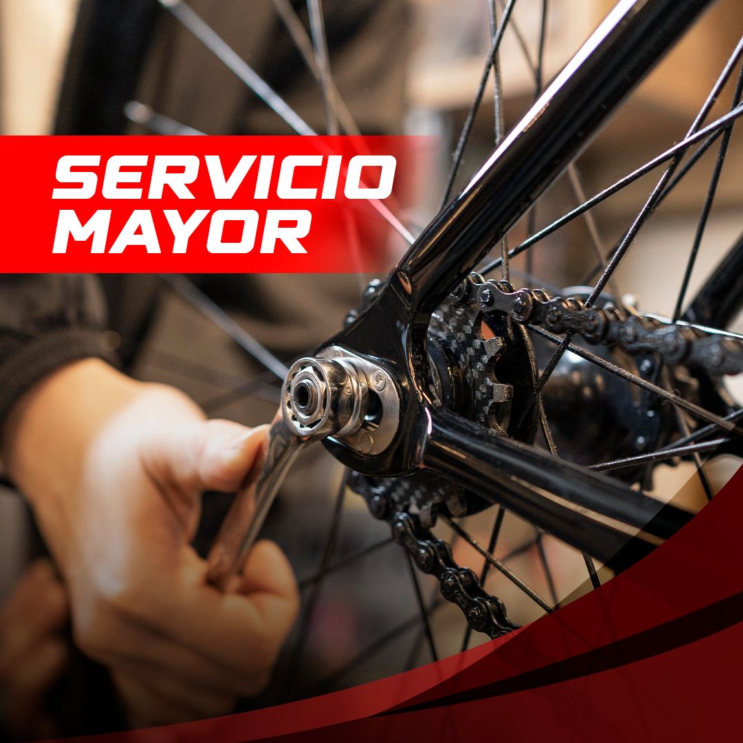 Servicio Mayor