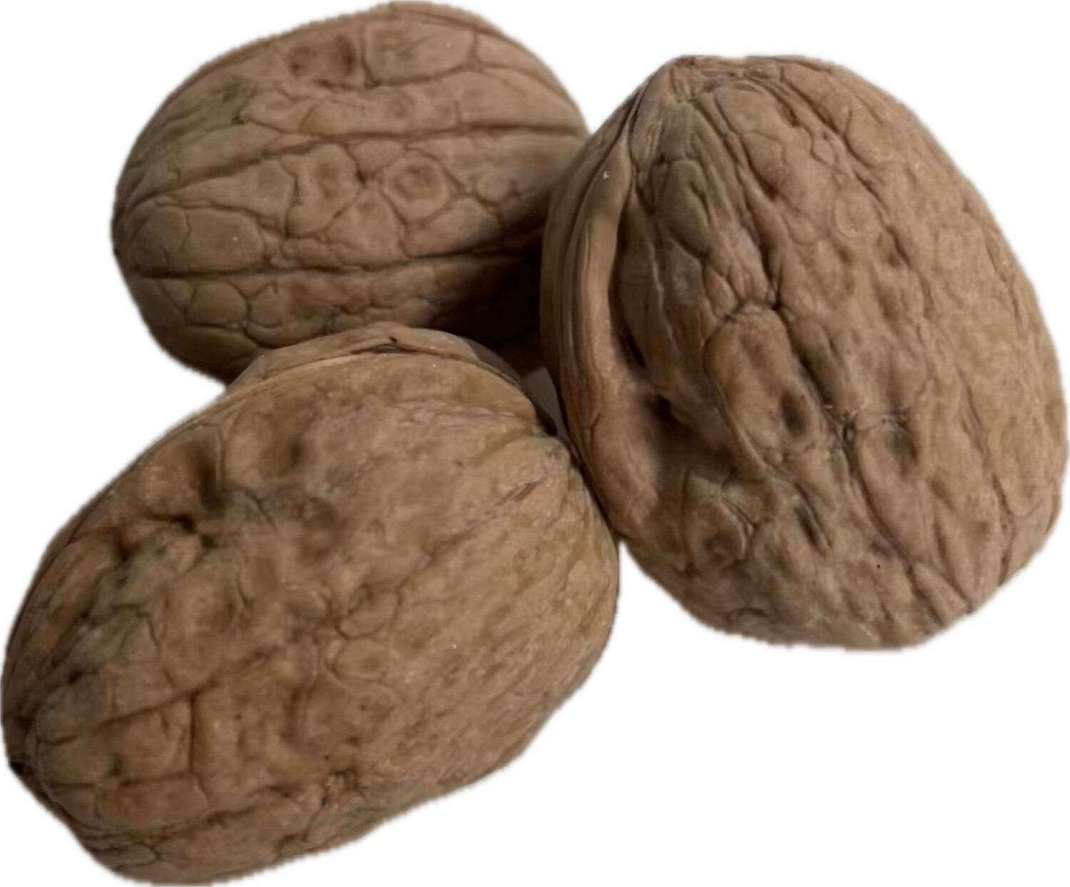 Nueces