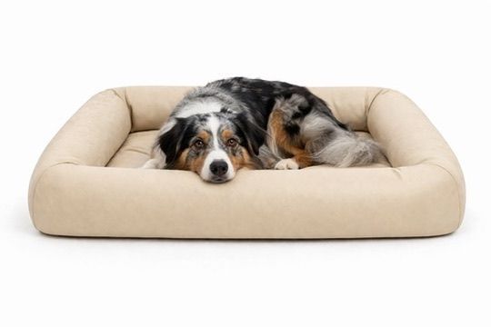 Orthopädisches Hundebett L/XL aus veganem Leder Orthopädisches Hundebett L/XL aus veganem Leder