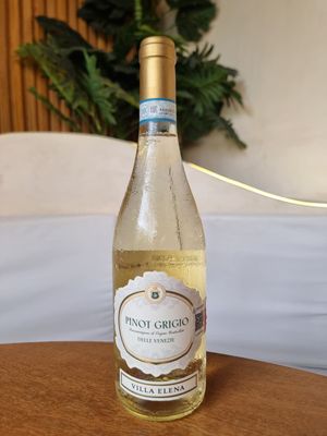 VILLA ELENA. DOC