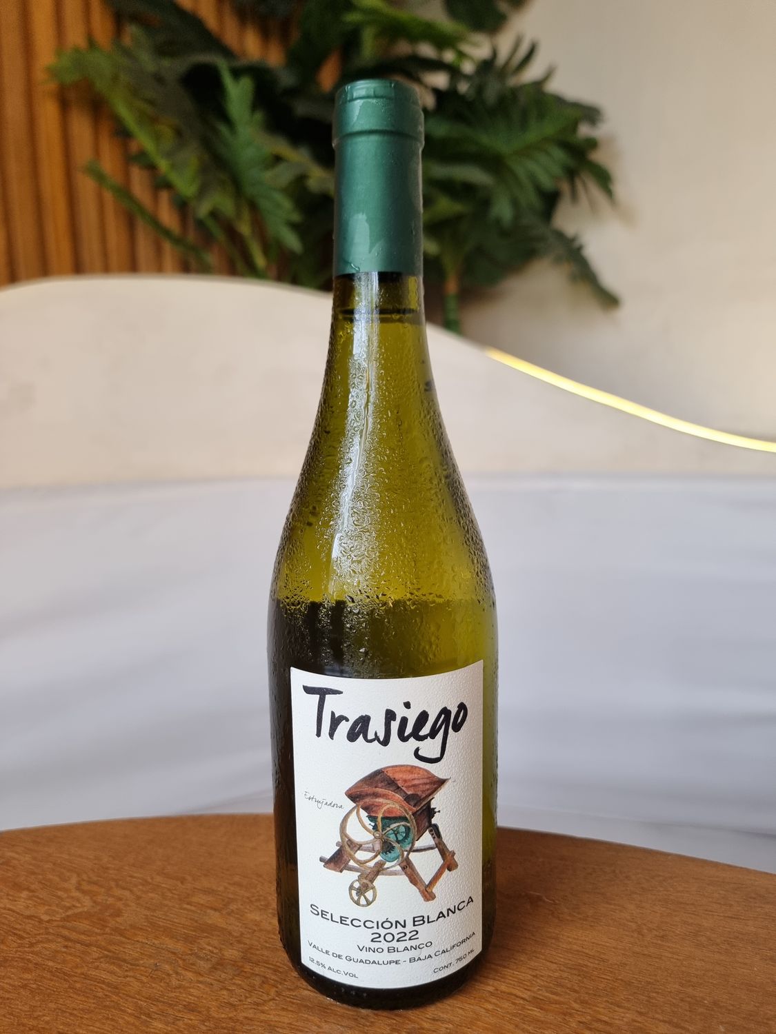 TRASIEGO SELECCION BLANCA