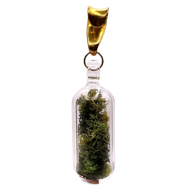 Pill-shaped Terrariums w/ brass spreaders