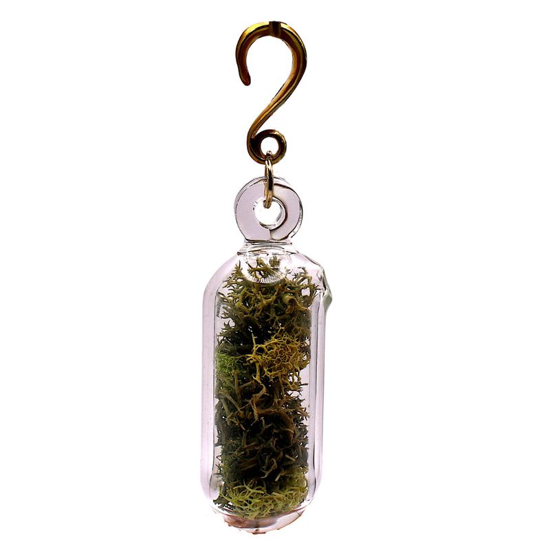 Pill-shaped Terrariums w/ brass spreaders