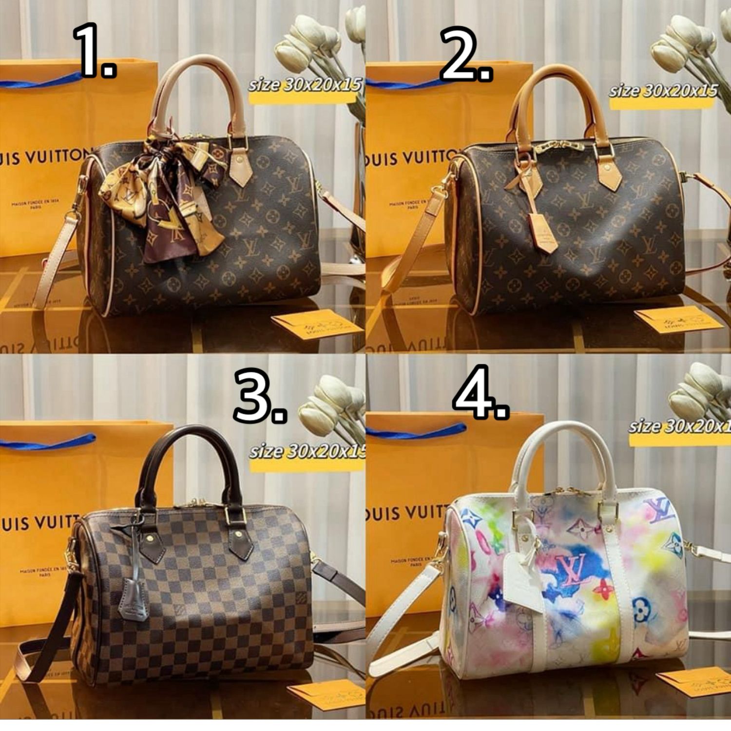 LV Speedy Bags