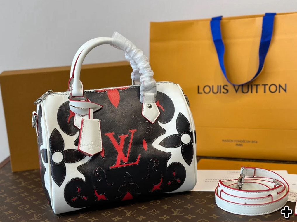 LV Handbag
