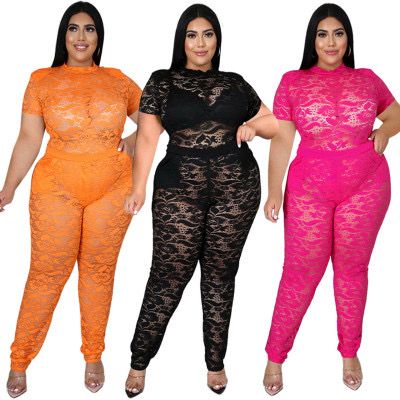Women’s Plus Size 