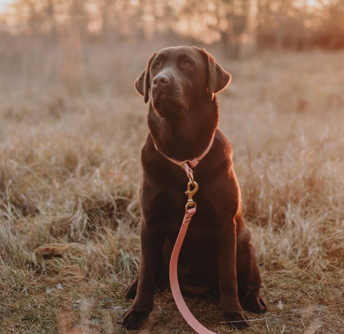 VYTVOR SI SVOJ SET - Venčiči