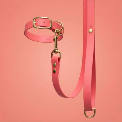 Coral ŠTANDARD SET - Venčiči, šírka 1,9cm