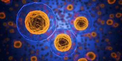 Anti-Aging: The Latest Innovations