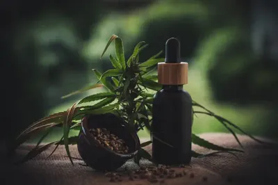 Das Endocannabinoid-System (ECS): CBD zur Entfaltung des natürlichen Gleichgewichts Ihres Körpers