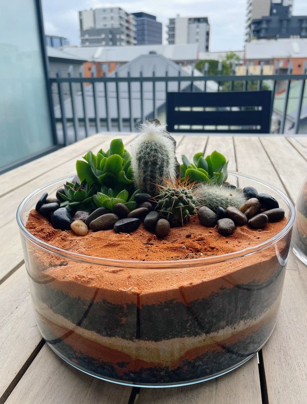 Desert Terrariums