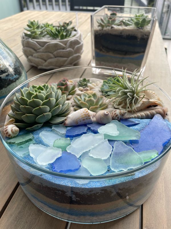 Coastal Terrariums