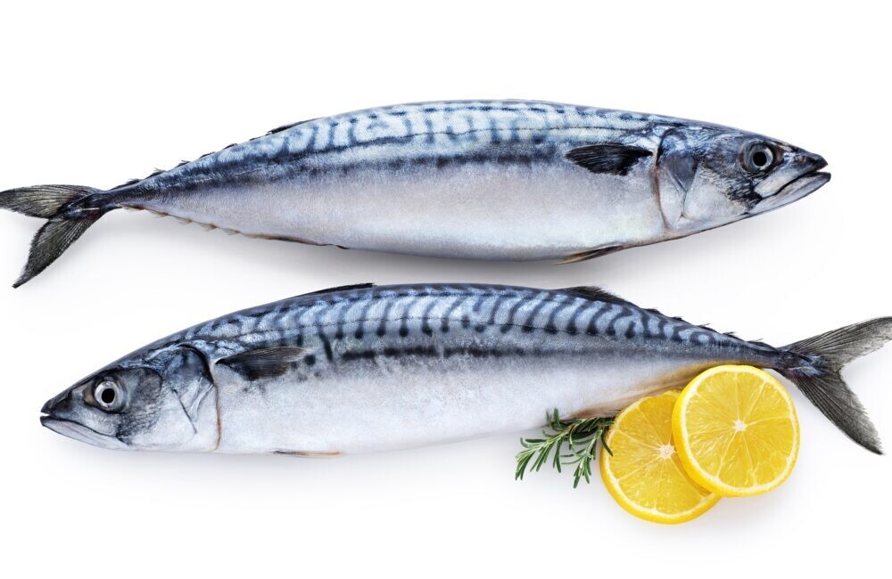 poisson maquereau.vendu a 5.45 lb