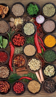 ÉPICES ET ASSAISONNEMENT