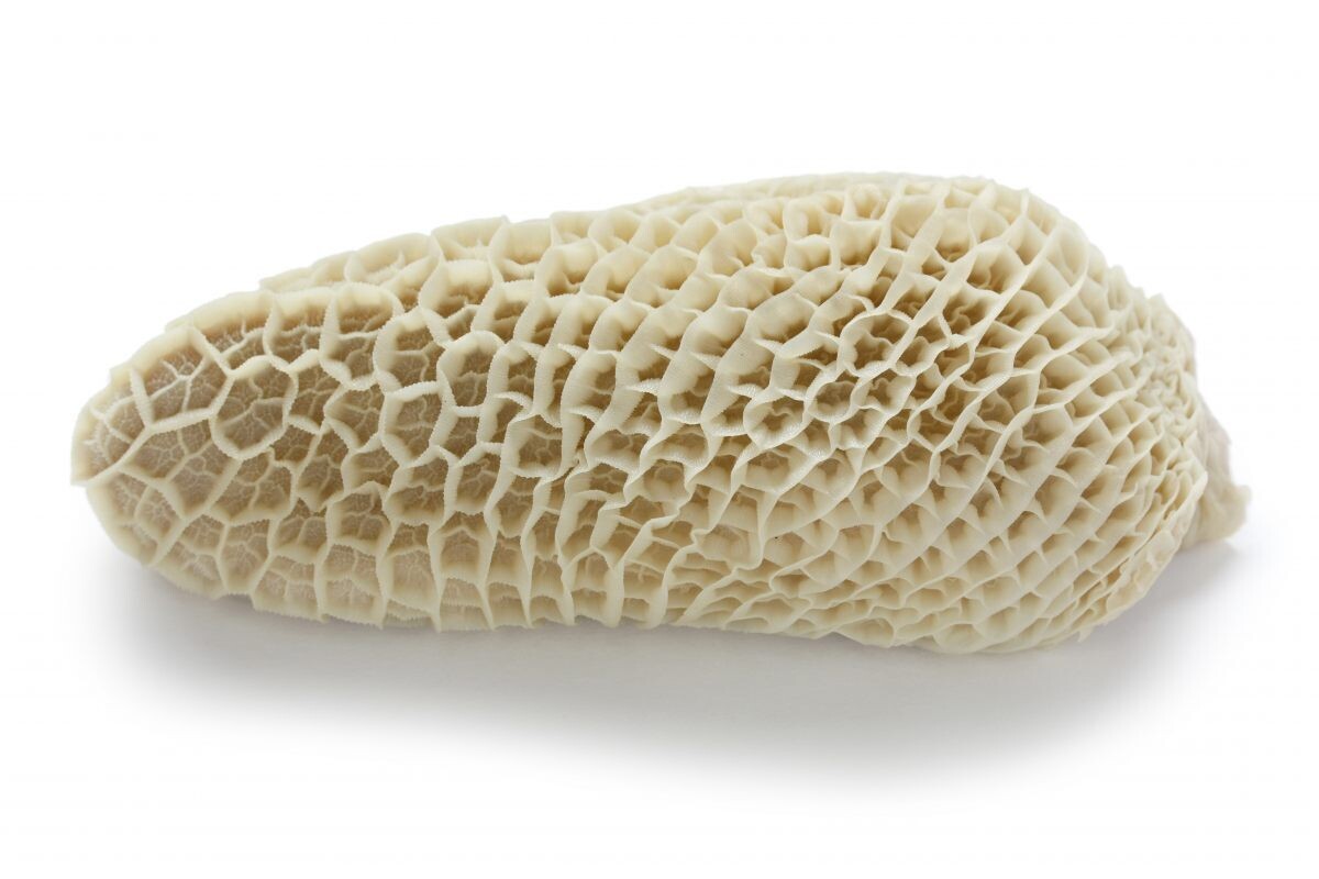 TRIPES DE BOEUF  VENDU EN LIVRES