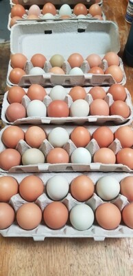 Eggs